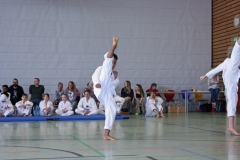 IMG_5979_bearbeitet-1