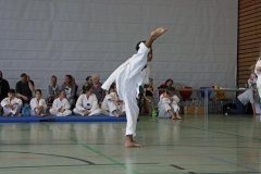IMG_5982_bearbeitet-1