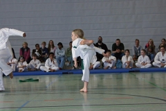 IMG_5983_bearbeitet-1