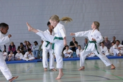 IMG_6008_bearbeitet-1