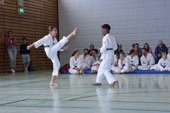 IMG_6016_bearbeitet-1