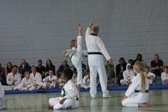 IMG_6023_bearbeitet-1