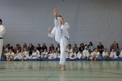 IMG_6036_bearbeitet-1