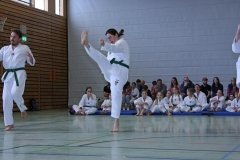 IMG_6037_bearbeitet-1