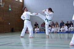 IMG_6072_bearbeitet-1