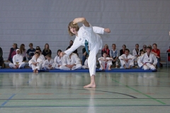 IMG_6103_bearbeitet-1