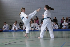 IMG_6138_bearbeitet-1