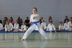 IMG_6145_bearbeitet-1