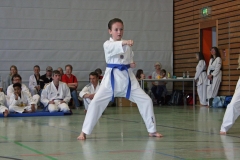 IMG_6149_bearbeitet-1