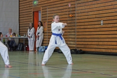 IMG_6150_bearbeitet-1