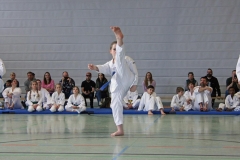 IMG_6157_bearbeitet-1