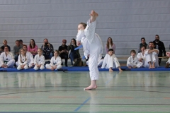IMG_6165_bearbeitet-1