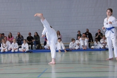 IMG_6170_bearbeitet-1