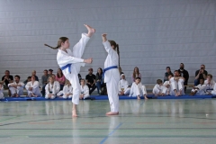 IMG_6184_bearbeitet-1