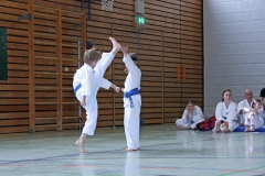 IMG_6185_bearbeitet-1