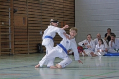 IMG_6203_bearbeitet-1