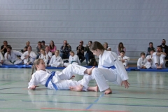 IMG_6204_bearbeitet-1