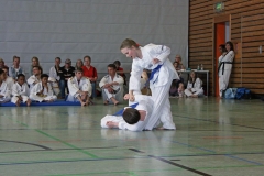 IMG_6210_bearbeitet-1