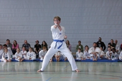 IMG_6234_bearbeitet-1