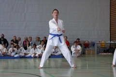 IMG_6237_bearbeitet-1