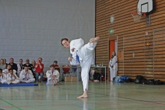 IMG_6252_bearbeitet-1