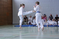 IMG_6298_bearbeitet-1