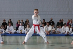 IMG_6318_bearbeitet-1