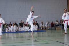 IMG_6334_bearbeitet-1