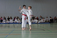 IMG_6362_bearbeitet-1