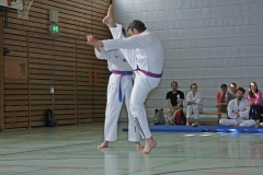 IMG_6365_bearbeitet-1