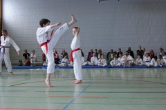 IMG_6368_bearbeitet-1