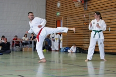 IMG_6374_bearbeitet-1