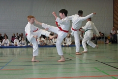 IMG_6421_bearbeitet-1