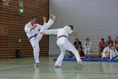 IMG_6426_bearbeitet-1