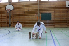 IMG_6428_bearbeitet-1