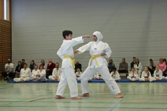 IMG_5090_bearbeitet-1