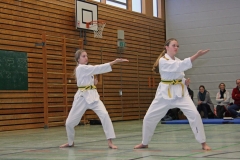 IMG_5102_bearbeitet-1