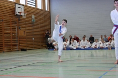 IMG_5249_bearbeitet-1