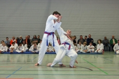 IMG_5272_bearbeitet-1