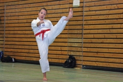 IMG_5304_bearbeitet-1