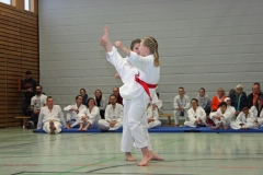 IMG_5315_bearbeitet-1