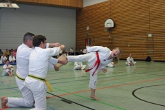 IMG_5347_bearbeitet-1