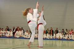 IMG_5381_bearbeitet-2