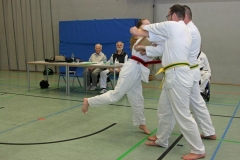 IMG_5410_bearbeitet-1