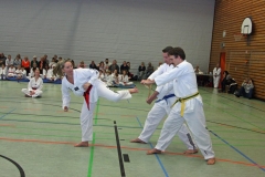 IMG_5411_bearbeitet-1