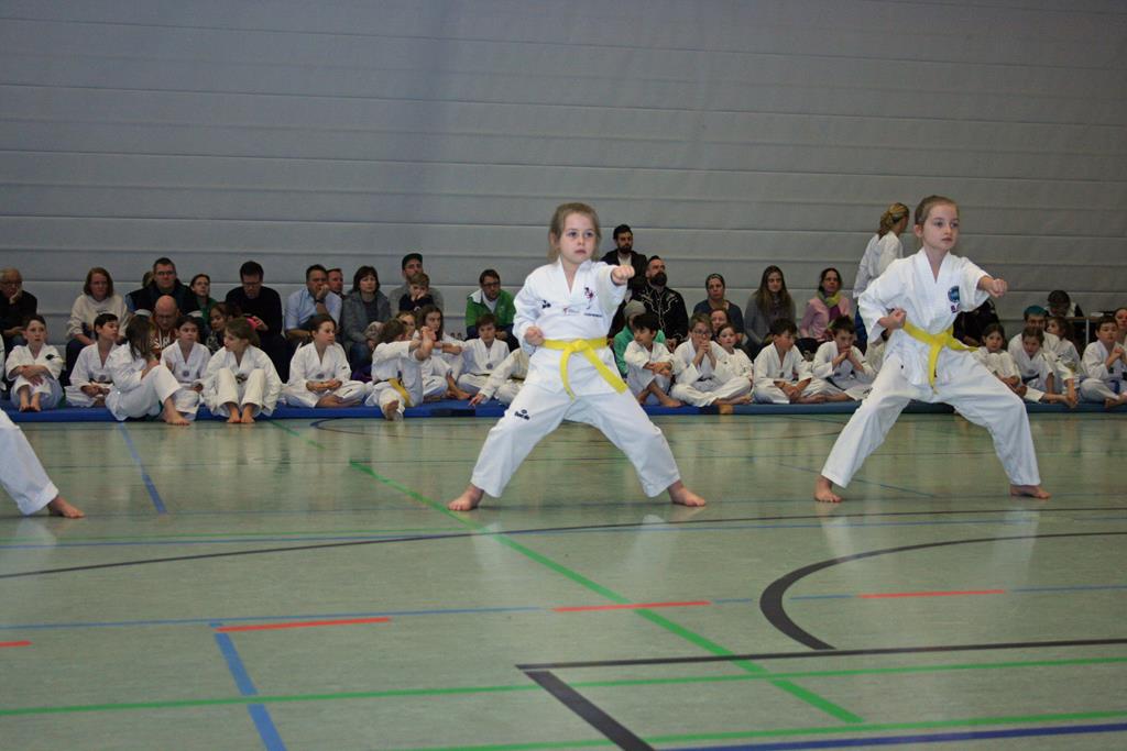 IMG_3348_bearbeitet-1