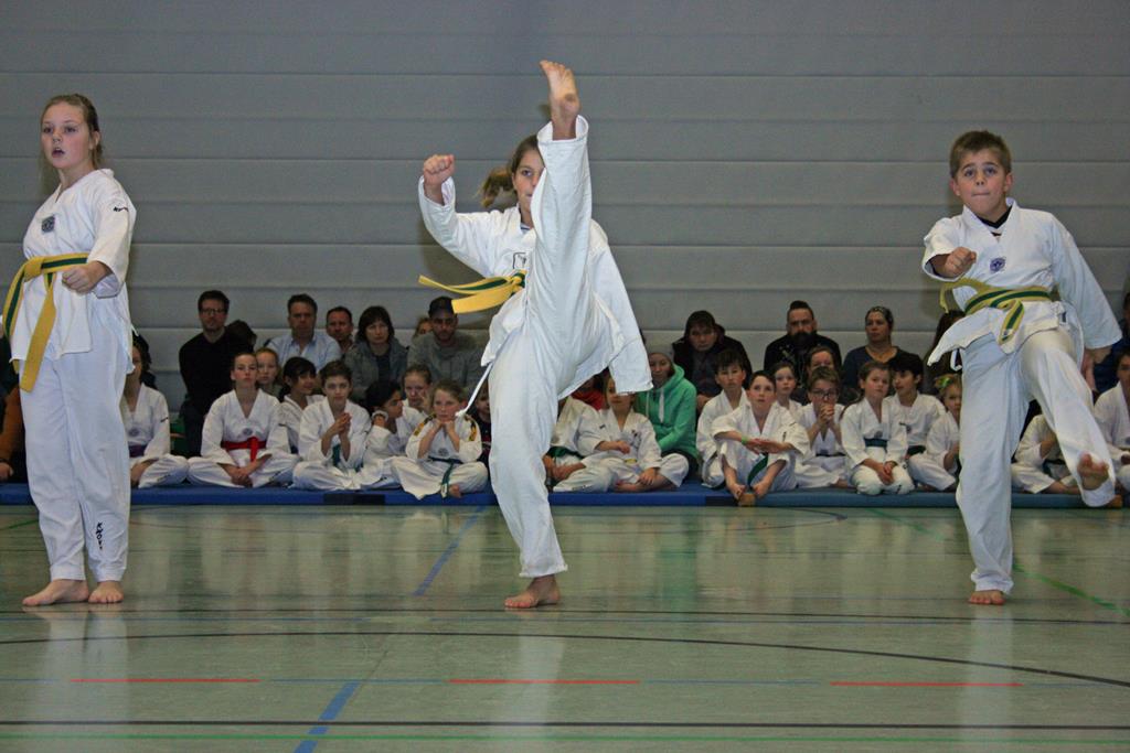 IMG_3401_bearbeitet-1