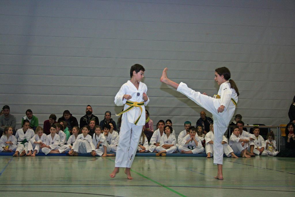 IMG_3439_bearbeitet-1