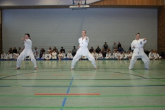 IMG_3327_bearbeitet-1