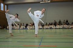 IMG_3339_bearbeitet-1